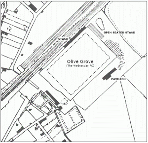 Olive Grove