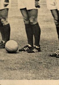 1966 Footballer Picture Cards Series 1. Click to see all the cards in this set.